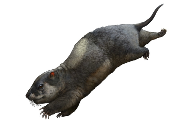 170-Million-Year-Old Reptile Fossil Unearthed in China’s Three Gorges Area 170_Million_Year_Old_Reptile_Fossil_Unearthed_in_China_s_Three_Gorges_Area