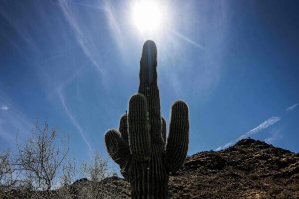 2024 Breaks Heat Records: Earth Surpasses 1.5°C Limit 🌎🔥 2024_Breaks_Heat_Records__Earth_Surpasses_1_5_C_Limit___