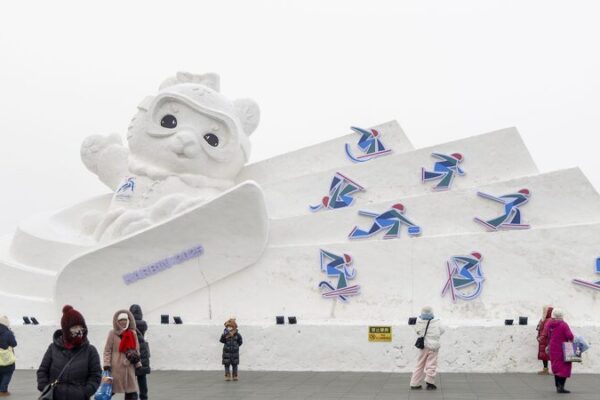 2025 Harbin Asian Winter Games Ice Event Tickets Almost Gone! ❄️🎟️ 2025_Harbin_Asian_Winter_Games_Ice_Event_Tickets_Almost_Gone______ video poster