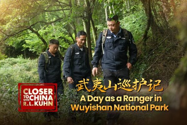 A Day in the Life of a Ranger at Wuyishan National Park 🌿 A_Day_in_the_Life_of_a_Ranger_at_Wuyishan_National_Park__ video poster