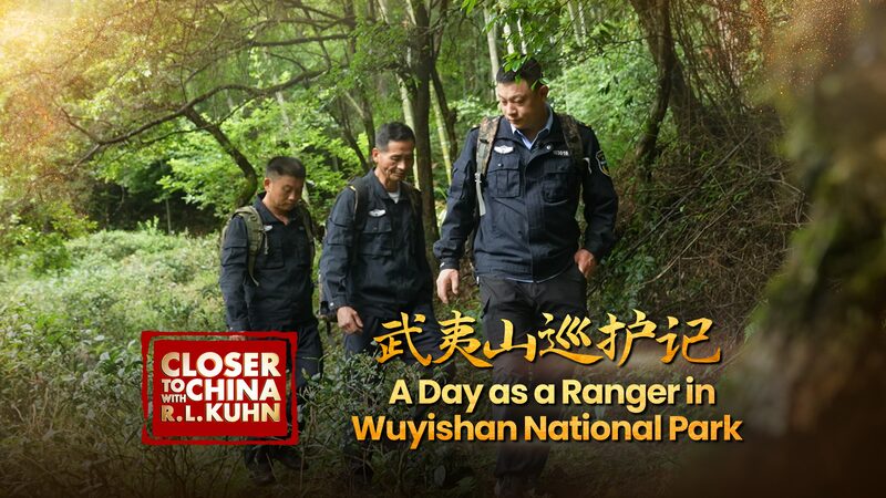 A_Day_in_the_Life_of_a_Ranger_at_Wuyishan_National_Park___poster - News for amigos, by amigos A_Day_in_the_Life_of_a_Ranger_at_Wuyishan_National_Park__ video poster