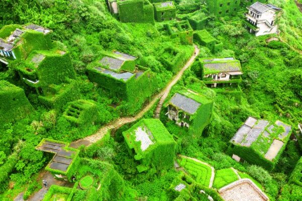 Abandoned Fishing Village Turns into Nature’s Masterpiece 🌿 Abandoned_Fishing_Village_Turns_into_Nature_s_Masterpiece__