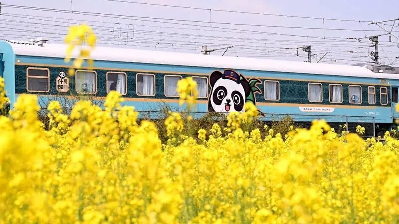 All_Aboard__Panda_Themed_Train_Brings_Fun_from_Chengdu_to_Qingdao - News for amigos, by amigos __All_Aboard__Panda_Themed_Train_Brings_Fun_from_Chengdu_to_Qingdao