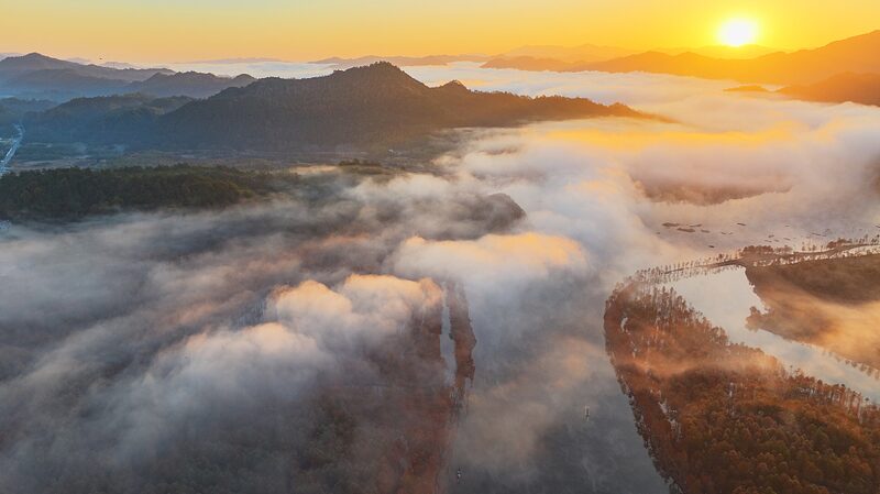 Anhui_s_Misty_Bald_Cypress_Forest__A_Winter_Fairyland___ - News for amigos, by amigos Anhui_s_Misty_Bald_Cypress_Forest__A_Winter_Fairyland___