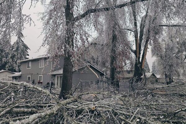 Arctic Blast Leaves Over 100,000 Oregonians Without Power ❄️ Arctic_Blast_Leaves_Over_100_000_Oregonians_Without_Power___
