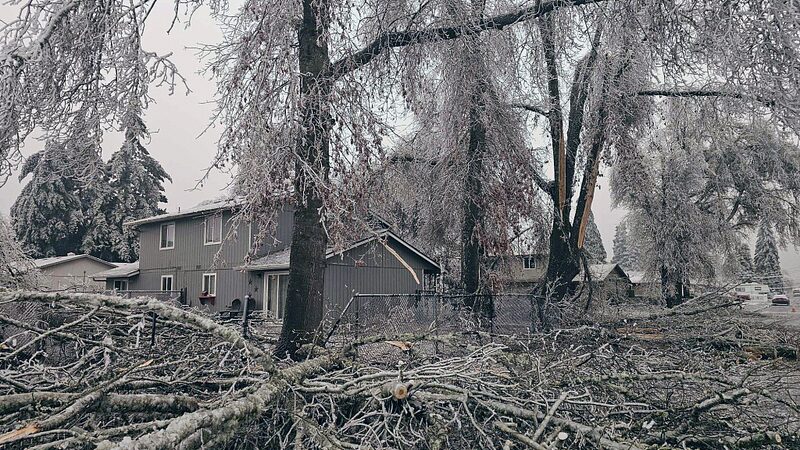 Arctic_Blast_Leaves_Over_100_000_Oregonians_Without_Power___ - News for amigos, by amigos Arctic_Blast_Leaves_Over_100_000_Oregonians_Without_Power___