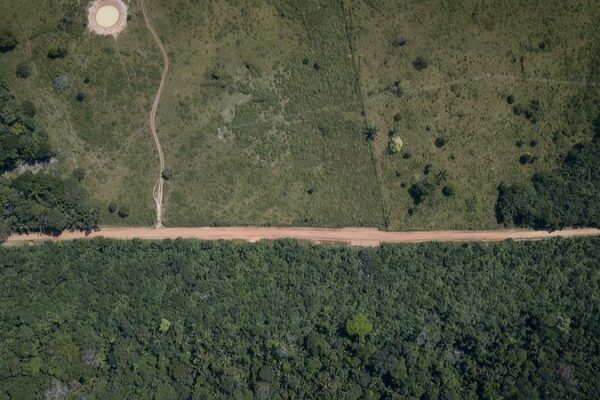 Armed Groups Fuel Deforestation in Colombia’s Amazon 🌿🔥 Armed_Groups_Fuel_Deforestation_in_Colombia_s_Amazon___
