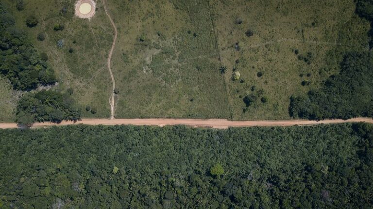 Armed Groups Fuel Deforestation in Colombia’s Amazon 🌿🔥 Armed_Groups_Fuel_Deforestation_in_Colombia_s_Amazon___