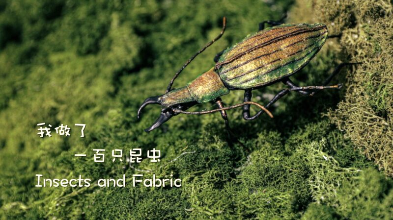 Artist_Lin_Rongsheng_Crafts_Lifelike_Insects_from_Fabric___ video poster