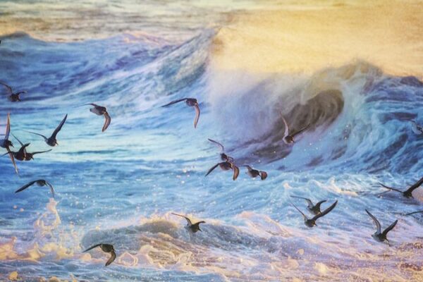 Atlantic Currents Near Tipping Point: Weather Chaos Ahead 🌊⚠️ Atlantic_Currents_Near_Tipping_Point__Weather_Chaos_Ahead____