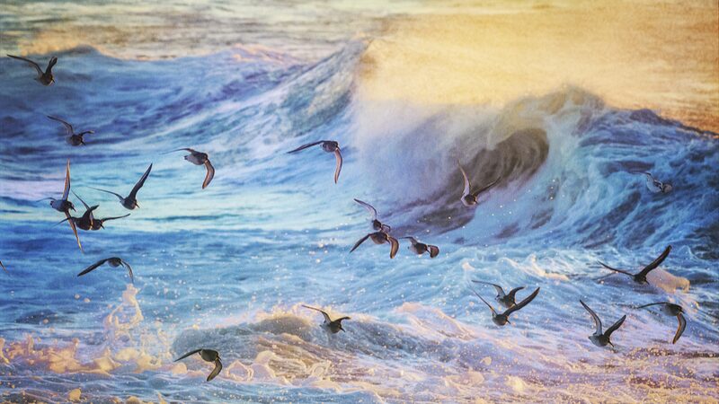 Atlantic_Currents_Near_Tipping_Point__Weather_Chaos_Ahead____ - News for amigos, by amigos Atlantic_Currents_Near_Tipping_Point__Weather_Chaos_Ahead____