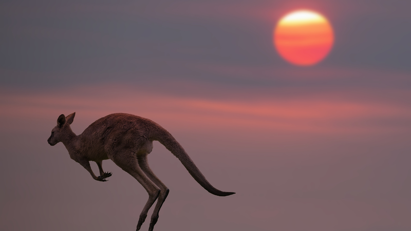 Australia_Records_Hottest_Spring_Ever_with_Temperatures_Soaring____ - News for amigos, by amigos Australia_Records_Hottest_Spring_Ever_with_Temperatures_Soaring____