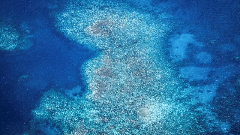 Australia_s_Great_Barrier_Reef_Faces_Worst_Bleaching_Ever___
