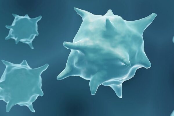 Australian Scientists Unveil New Cells That Could Revolutionize Tissue Repair 🧪✨ Australian_Scientists_Unveil_New_Cells_That_Could_Revolutionize_Tissue_Repair___