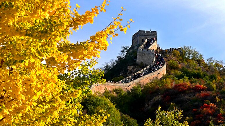 Autumn_Magic_Unveiled__Badaling_Great_Wall_Dazzles_Visitors__ - News for amigos, by amigos Autumn_Magic_Unveiled__Badaling_Great_Wall_Dazzles_Visitors__