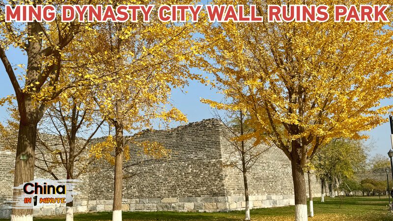 Autumn_Stroll_Through_History__Discovering_Beijing_s_Ming_City_Wall_Ruins_Park_poster - News for amigos, by amigos Autumn_Stroll_Through_History__Discovering_Beijing_s_Ming_City_Wall_Ruins_Park video poster