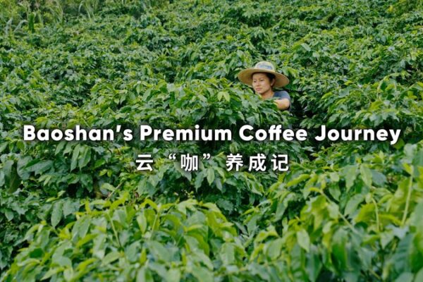 Baoshan’s Coffee Boom: From Remote Fields to Global Cups ☕ Baoshan_s_Coffee_Boom__From_Remote_Fields_to_Global_Cups__ video poster