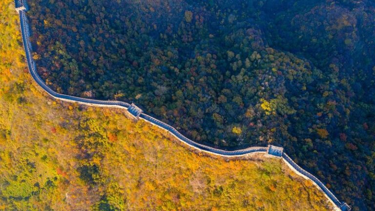 Beijing_Aims_for_45__Forest_Coverage_by_2025___