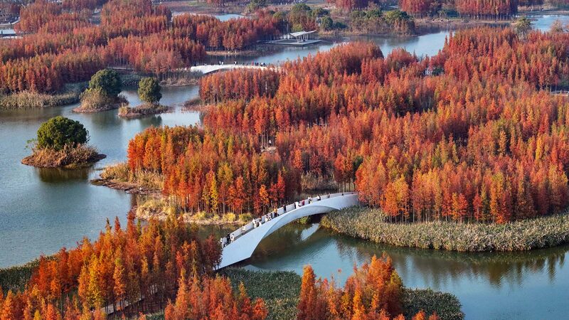 Beijing_Symposium_Explores_Xi_Jinping_s_Vision_on_Natural_Resources__ - News for amigos, by amigos Beijing_Symposium_Explores_Xi_Jinping_s_Vision_on_Natural_Resources__