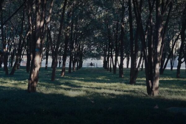 Beijing’s Ditan Park Reveals a Magical ‘Door’ to the Sea 🌊✨ Beijing_s_Ditan_Park_Reveals_a_Magical__Door__to_the_Sea___ video poster
