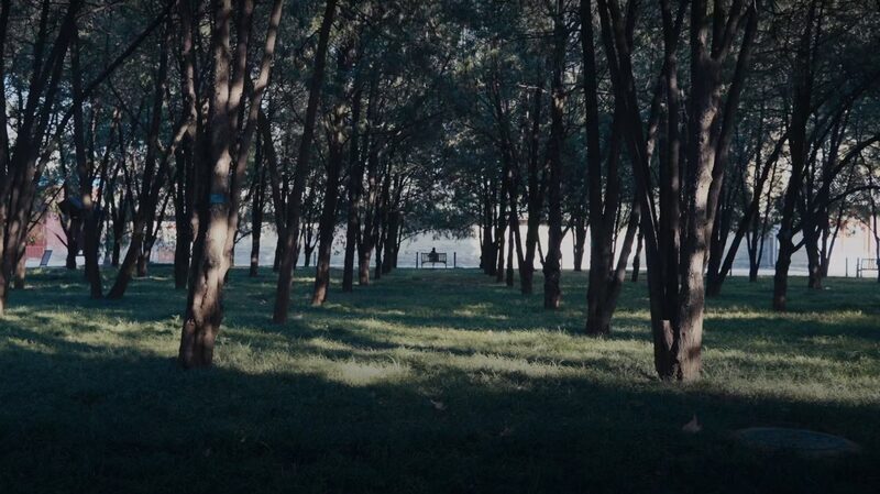 Beijing_s_Ditan_Park_Reveals_a_Magical__Door__to_the_Sea____poster - News for amigos, by amigos Beijing_s_Ditan_Park_Reveals_a_Magical__Door__to_the_Sea___ video poster