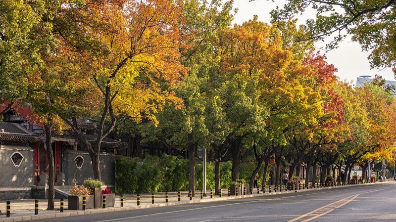 Beijing_s_Green_Dream__Parks_Within_Reach_for_All_in_2024 - News for amigos, by amigos __Beijing_s_Green_Dream__Parks_Within_Reach_for_All_in_2024