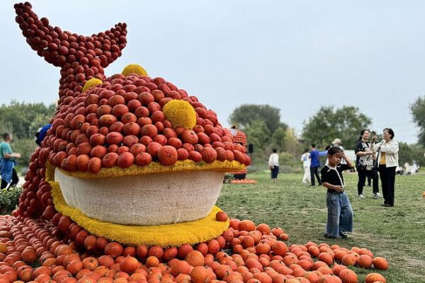 Beijing’s Pumpkin Extravaganza: 200,000 Pumpkins Light Up the Harvest Season! 🎃 Beijing_s_Pumpkin_Extravaganza__200_000_Pumpkins_Light_Up_the_Harvest_Season___