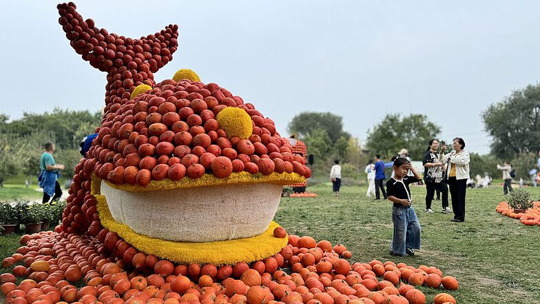 Beijing_s_Pumpkin_Extravaganza__200_000_Pumpkins_Light_Up_the_Harvest_Season___ - News for amigos, by amigos Beijing_s_Pumpkin_Extravaganza__200_000_Pumpkins_Light_Up_the_Harvest_Season___