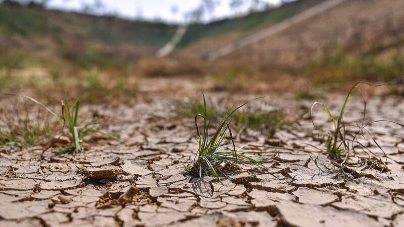 Bengaluru_s_Water_Woes__Tech_Hub_Faces_Shortages_Ahead_of_Peak_Summer - News for amigos, by amigos Bengaluru_s_Water_Woes__Tech_Hub_Faces_Shortages_Ahead_of_Peak_Summer