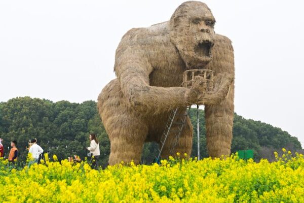 Blooming Rapeseed and Giant Art Light Up Suzhou’s Peninsula Pastoral 🌼🎨 Blooming_Rapeseed_and_Giant_Art_Light_Up_Suzhou_s_Peninsula_Pastoral___