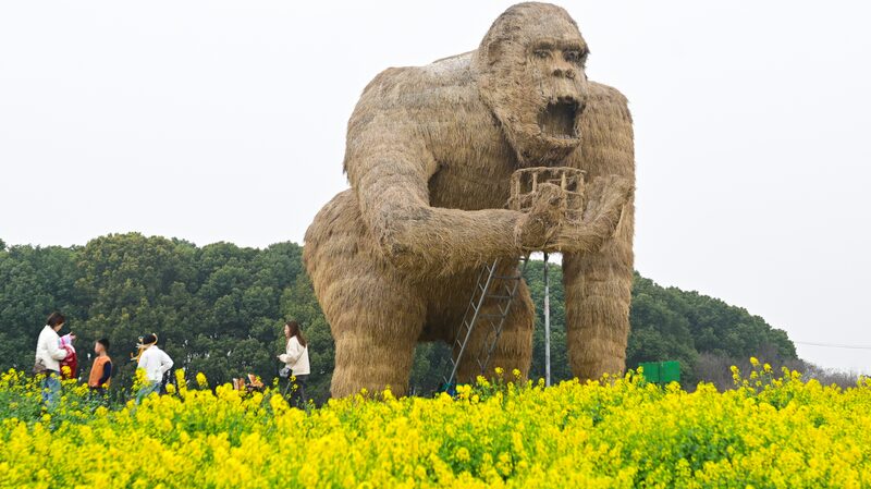 Blooming_Rapeseed_and_Giant_Art_Light_Up_Suzhou_s_Peninsula_Pastoral___ - News for amigos, by amigos Blooming_Rapeseed_and_Giant_Art_Light_Up_Suzhou_s_Peninsula_Pastoral___