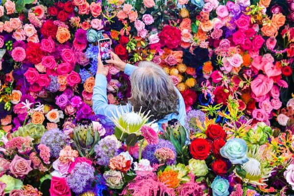 Blossoming Beauty: 26th Hortiflorexpo Blooms in Beijing 🌸 Blossoming_Beauty__26th_Hortiflorexpo_Blooms_in_Beijing__