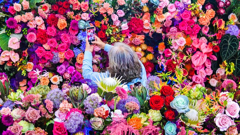 Blossoming_Beauty__26th_Hortiflorexpo_Blooms_in_Beijing__ - News for amigos, by amigos Blossoming_Beauty__26th_Hortiflorexpo_Blooms_in_Beijing__