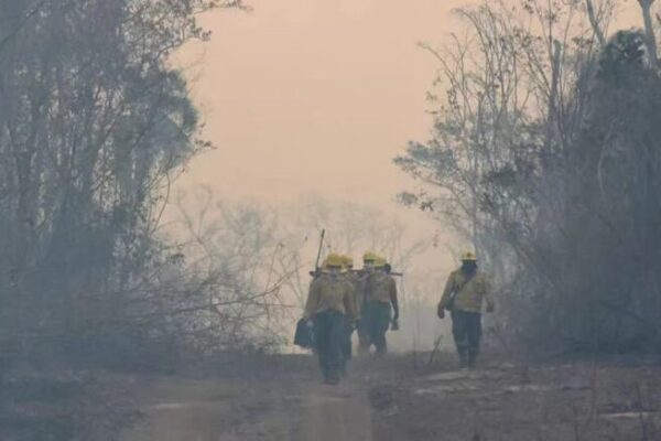 Bolivia Declares National Emergency Amid Raging Forest Fires 🔥🌳 Bolivia_Declares_National_Emergency_Amid_Raging_Forest_Fires___