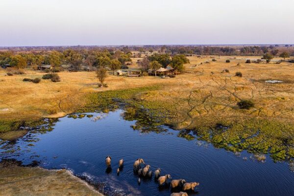 🌿 Botswana’s Quest: Balancing Wildlife and Communities __Botswana_s_Quest__Balancing_Wildlife_and_Communities