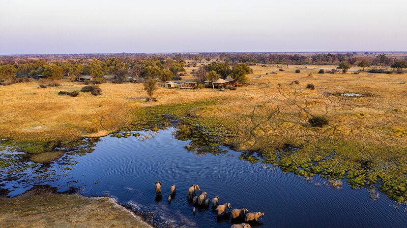 Botswana_s_Quest__Balancing_Wildlife_and_Communities - News for amigos, by amigos __Botswana_s_Quest__Balancing_Wildlife_and_Communities