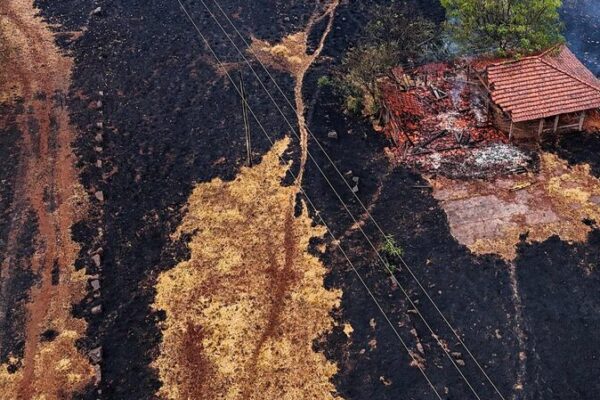 Brazil Battles Worst Drought in 44 Years 🌵: 15 States Affected Brazil_Battles_Worst_Drought_in_44_Years____15_States_Affected
