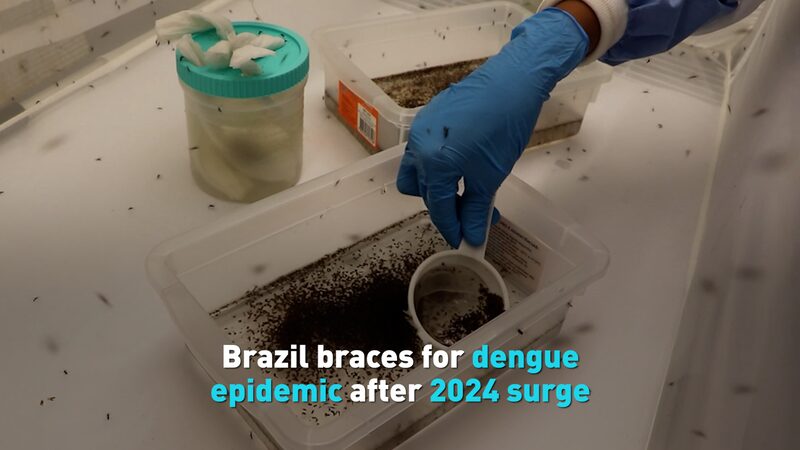 Brazil_Braces_for_Another_Dengue_Epidemic_After_Record_2024_Surge_poster - News for amigos, by amigos Brazil_Braces_for_Another_Dengue_Epidemic_After_Record_2024_Surge video poster