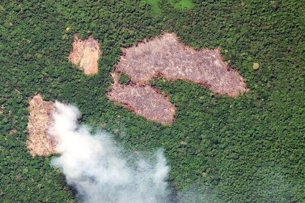 Brazil’s Amazon Sees Lowest Deforestation in Early 2024 🌿 Brazil_s_Amazon_Sees_Lowest_Deforestation_in_Early_2024__