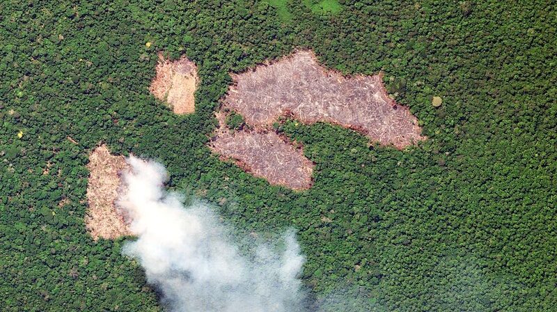 Brazil_s_Amazon_Sees_Lowest_Deforestation_in_Early_2024__ - News for amigos, by amigos Brazil_s_Amazon_Sees_Lowest_Deforestation_in_Early_2024__