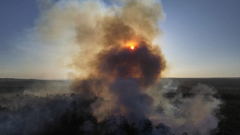 Brazil_s_Drought_Crisis__Over_1_000_Cities_Affected_and_Fires_Surge - News for amigos, by amigos Brazil_s_Drought_Crisis__Over_1_000_Cities_Affected_and_Fires_Surge