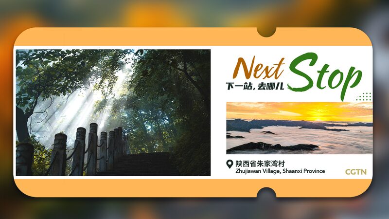 Breathe_Easy__Escape_to_Zhujiawan_Village_s_Lush_Forest_Oasis__ - News for amigos, by amigos Breathe_Easy__Escape_to_Zhujiawan_Village_s_Lush_Forest_Oasis__