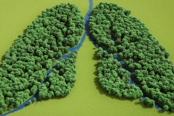 Breathe Easy! Why Early Lung Checks Are a Game-Changer 🫁✨ Breathe_Easy__Why_Early_Lung_Checks_Are_a_Game_Changer___