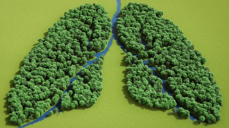 Breathe_Easy__Why_Early_Lung_Checks_Are_a_Game_Changer___ - News for amigos, by amigos Breathe_Easy__Why_Early_Lung_Checks_Are_a_Game_Changer___