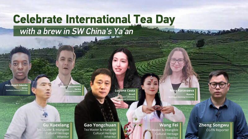 Brewing_International_Friendships__Celebrating_International_Tea_Day_in_Ya_an video poster