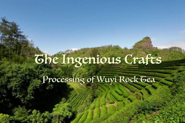 Brewing Perfection: The Artistry Behind Wuyi Rock Tea and Master Liu Guoying Brewing_Perfection__The_Artistry_Behind_Wuyi_Rock_Tea_and_Master_Liu_Guoying video poster