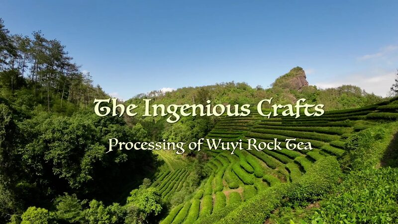 Brewing_Perfection__The_Artistry_Behind_Wuyi_Rock_Tea_and_Master_Liu_Guoying video poster