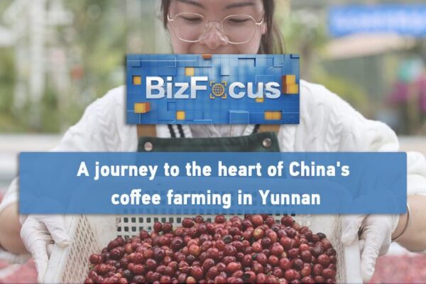Brewing Success: Unveiling China’s Coffee Heartland in Yunnan ☕️ Brewing_Success__Unveiling_China_s_Coffee_Heartland_in_Yunnan___ video poster