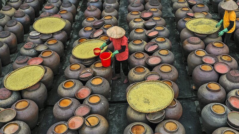 Brewing_Tradition__Vietnam_s_Age_Old_Soy_Sauce_Craft__