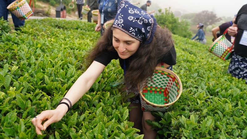 Bulgarian_Travelers_Embark_on_Tea_Picking_Adventure_in_Ningbo__ - News for amigos, by amigos Bulgarian_Travelers_Embark_on_Tea_Picking_Adventure_in_Ningbo__
